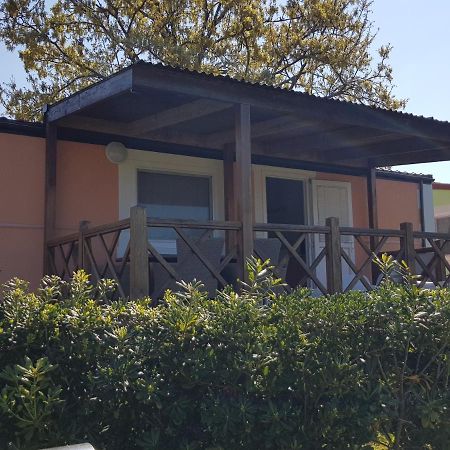 Naturist Mobile Homes Eden In Fkk Ulika ポレッチ エクステリア 写真